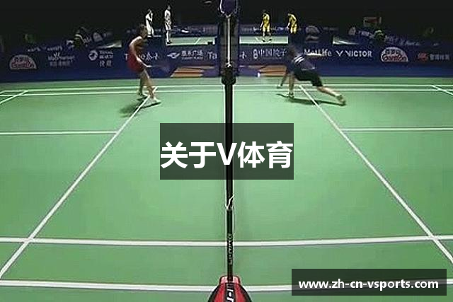 关于V体育